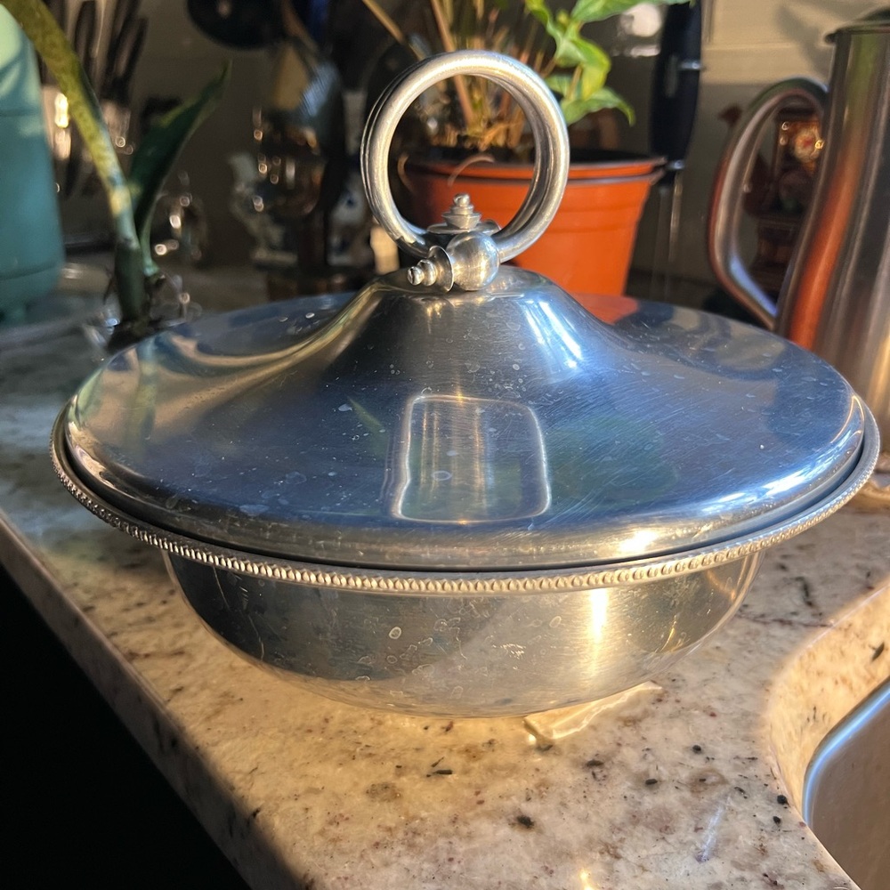 Elegant Silver Serveware Dish